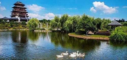 心動之旅！僅99元，12月3日韶山、花明樓純玩一日游，開啟紅色文化體驗(yàn)